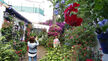 Una turista toma una fotografía en el patio de San Juan de Palomares, 11.